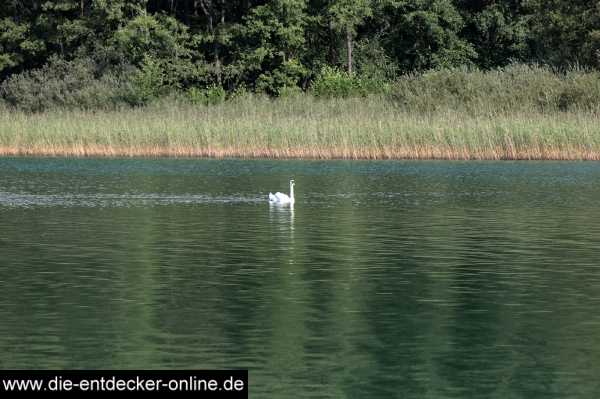 Altes Zollhaus am See_11