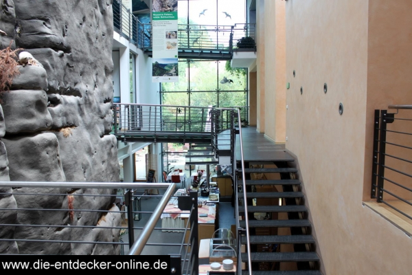 Ein Besuch in Bad Schandau und im Naturkundemuseum_39