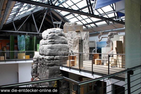 Ein Besuch in Bad Schandau und im Naturkundemuseum_42