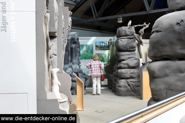 Ein Besuch in Bad Schandau und im Naturkundemuseum_47