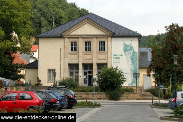 Ein Besuch in Bad Schandau und im Naturkundemuseum_53