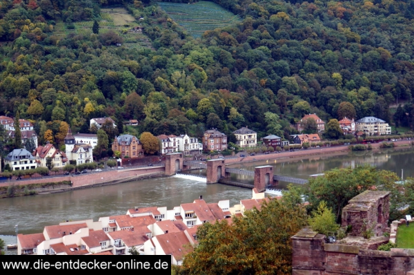 Heidelberg_113