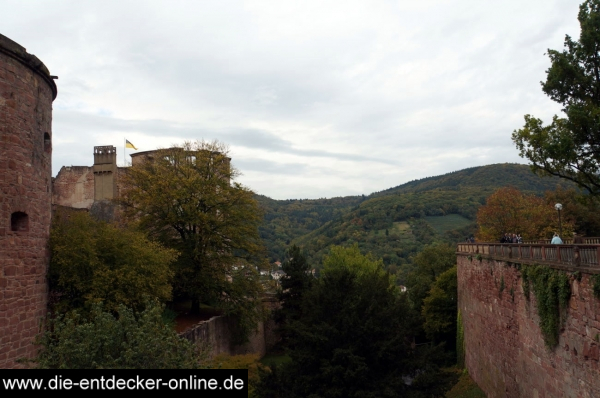 Heidelberg_135