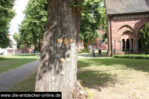 Dom zu Lübeck_24