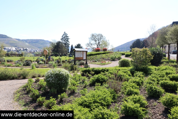 Kloster Machern_3
