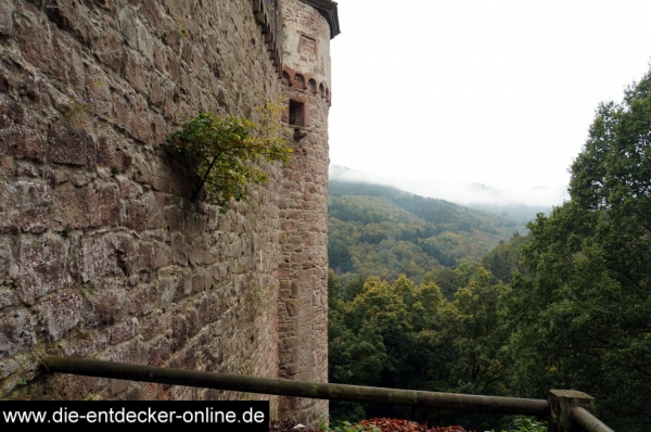 Burg Hirschhorn_4