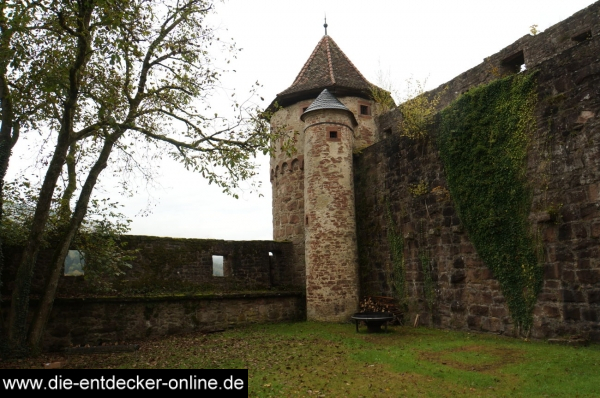 Burg Hirschhorn_5