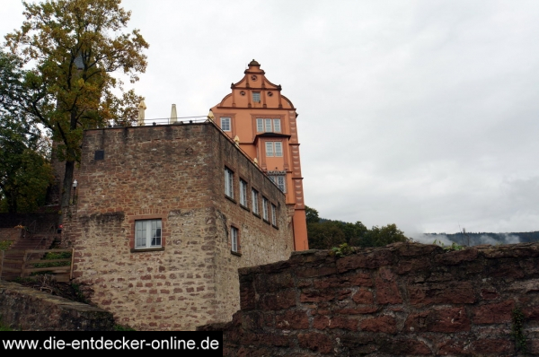 Burg Hirschhorn_7