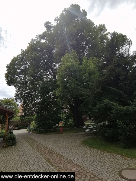 Kloster Drübeck_50