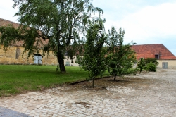 Im Kloster Memleben_35