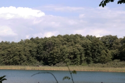 Altes Zollhaus am See_12