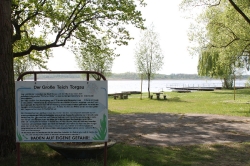 Torgau - Großer Teich