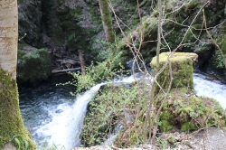 Die Rausch im Martental - Wasserfall_11