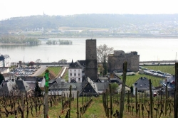 Rüdesheim_45