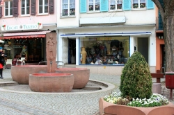 Rüdesheim_4
