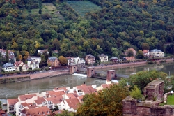 Heidelberg_113