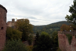 Heidelberg_135