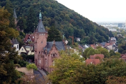 Heidelberg_88