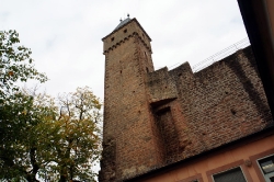 Burg Hirschhorn_10