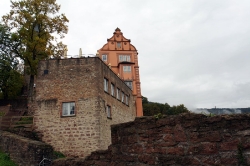 Burg Hirschhorn_7