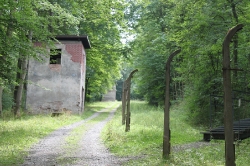 Das Grauen - Buchenwald_59