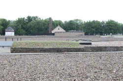 Das Grauen - Buchenwald_5