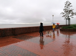 Regen auf der Promenade_5